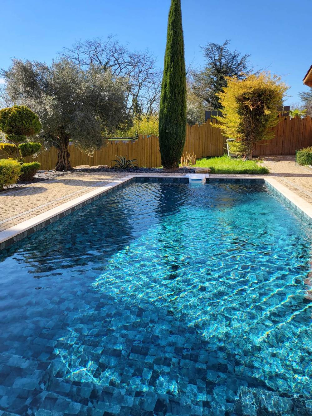 CGT ALKOR Aquasense Signature Fidji